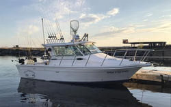 Salmon dreams come true in Oswego!